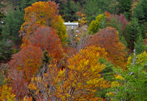 Randonnée dans le Taravo Randonnée dans le Taravo